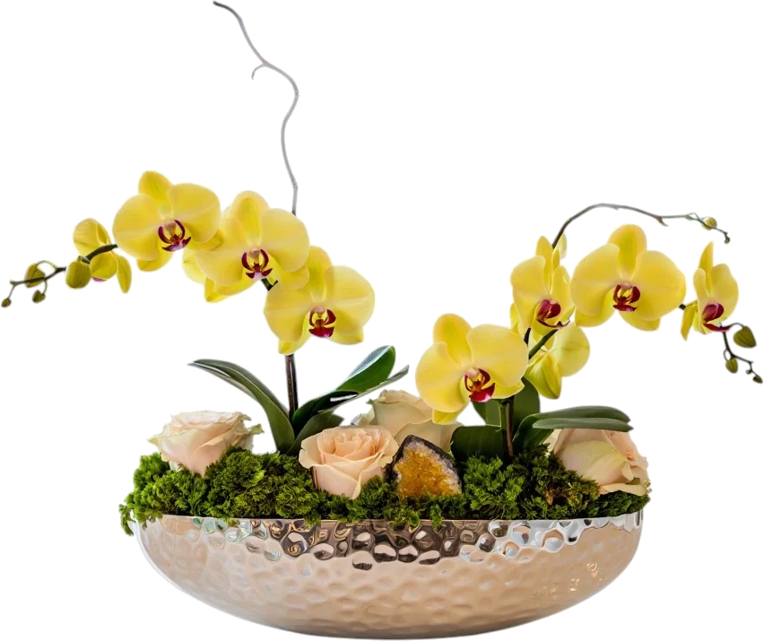 Citrine Soleil Orchid & Roses